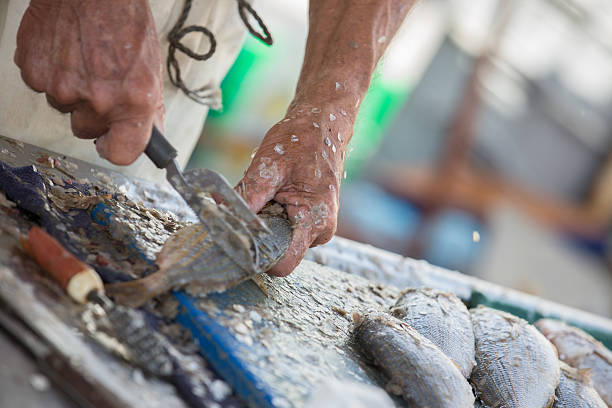 istock Fish being descaled on fish market - hands at work 623108962
