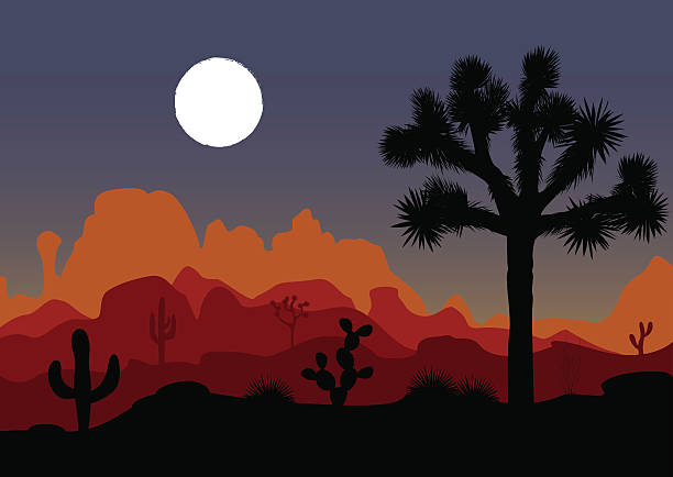 nocny krajobraz z drzewem joshua i górami. ilustracja wektorowa. - joshua stock illustrations
