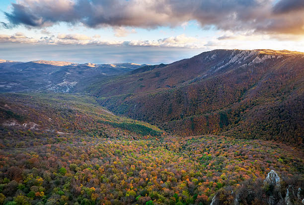 istock Mountain landscape with colorful trees in autumn 623111172