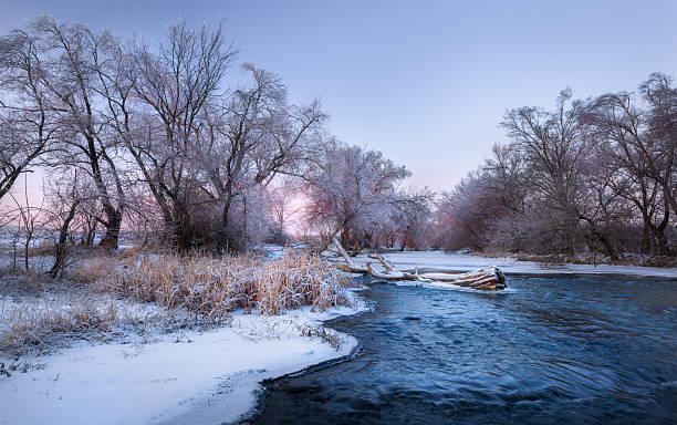 istock Winter landscape with snowy trees, beautiful frozen river at dus 623111350