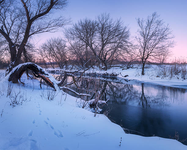istock Winter forest on the river. Colorful landscape at sunset 623111844