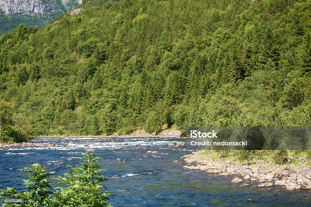 Eidfjord and rapid river in Norway Adult Stock Photo