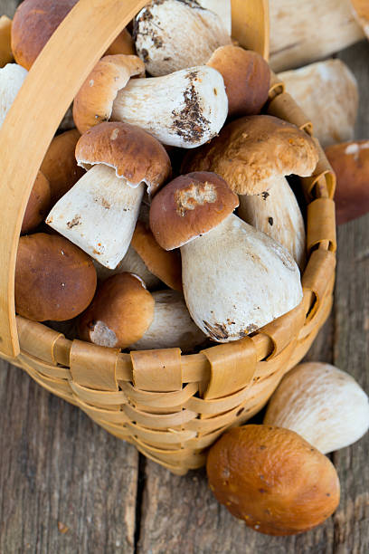 istock boletus mushrooms in a basket on wooden surface 623115978