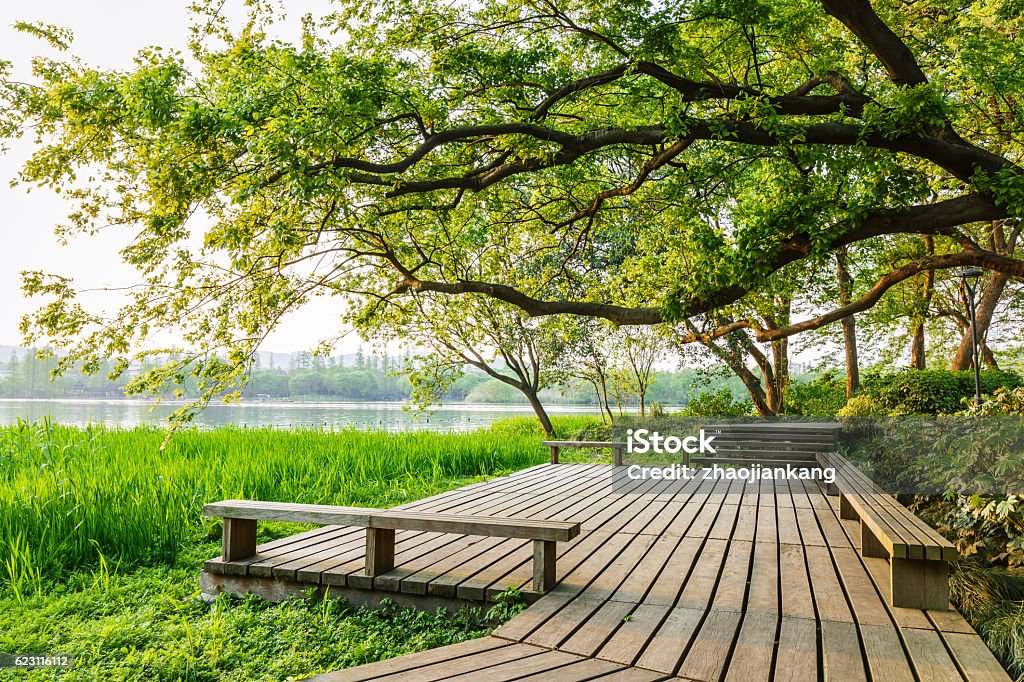 wooden walkway and green natural scenery wooden walkway and green natural scenery in the summer Backgrounds Stock Photo