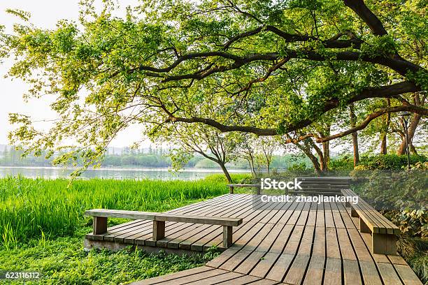 Wooden Walkway And Green Natural Scenery Stock Photo - Download Image Now - Backgrounds, Beauty, Beauty In Nature