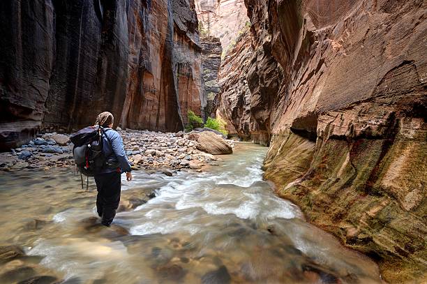 wandern in den virgin river narrows - zion narrows stock-fotos und bilder