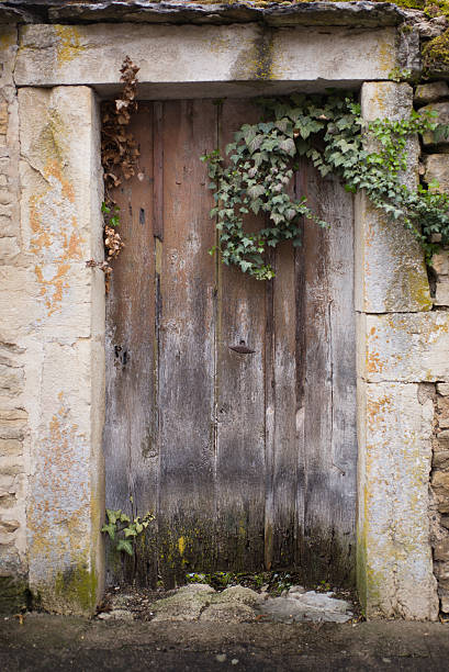 istock Closed wooden door in Provence 623118996
