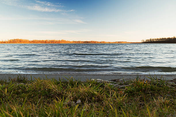 wooden log floating on the old pond surface in fine autumn day, crystal clean water and foliage.