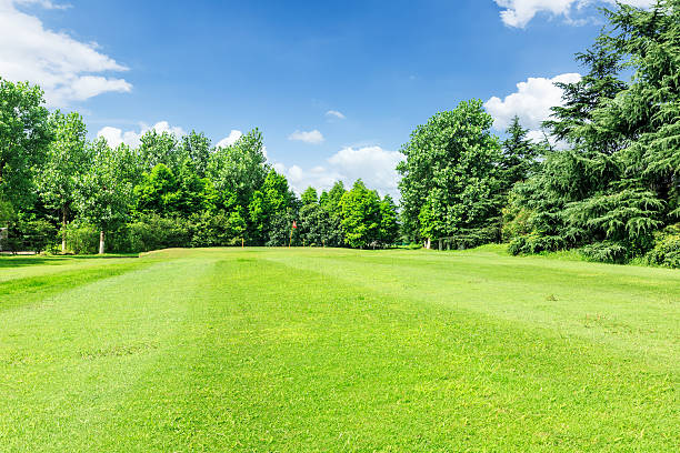 istock green grass and blue sky in summer day 623123580