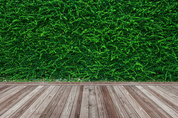 istock Wood floor with green leaves wall background 623123828