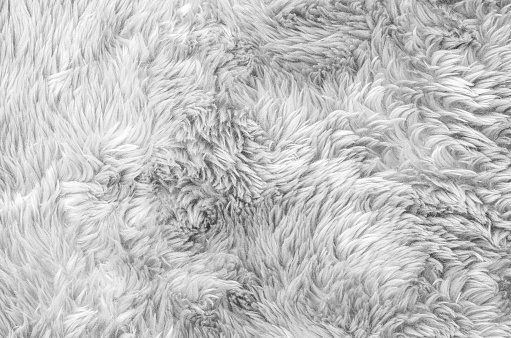 Fondo de textura de alfombra de tela gris de superficie de primer plano photo