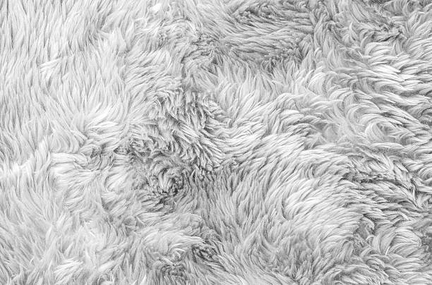 Closeup surface gray fabric carpet texture background Closeup surface abstract fabric pattern at the gray fabric carpet at the floor of house texture background in black and white tone fluffy blanket stock pictures, royalty-free photos & images