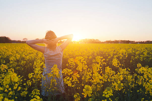 istock wellness concept, harmony and healthy lifestyle 623125002