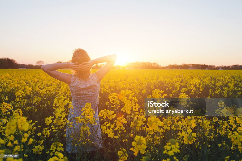 wellness concept, harmony and healthy lifestyle young woman enjoying summer and nature in yellow flower field at sunset, harmony and healthy lifestyle Allergy Stock Photo