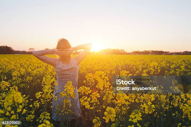 Wellness Concept Harmony And Healthy Lifestyle Stock Photo - Download Image Now - Allergy, Season, Happiness