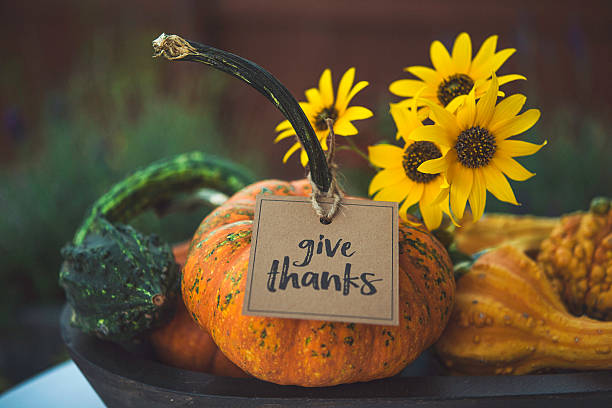 Thanksgiving still life with pumpkins, gourds and message Thanksgiving still life with pumpkins, gourds and message single flower flower autumn pumpkin stock pictures, royalty-free photos & images