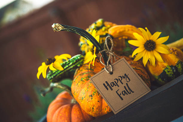 istock Thanksgiving still life with pumpkins, gourds and message 623125184