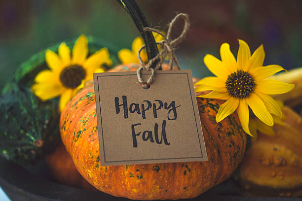 istock Thanksgiving still life with pumpkins, gourds and message 623125376