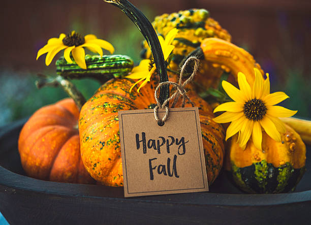 istock Thanksgiving still life with pumpkins, gourds and message 623125482