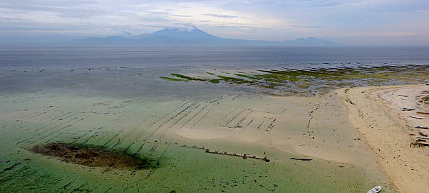 agung volcano & seaweed farms in bali, indonesia - seaweed nusa lembongan seaweed farming water imagens e fotografias de stock