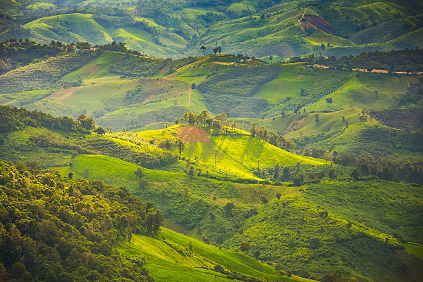 istock Rice fields on mountain, Terraced rice fields in northern Thailand 623126256
