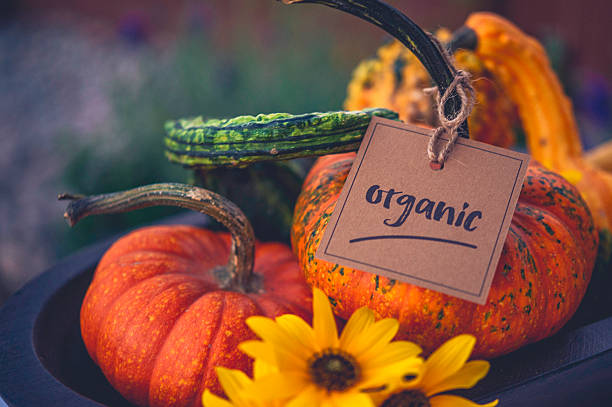istock Thanksgiving still life with pumpkins, gourds and message 623128010