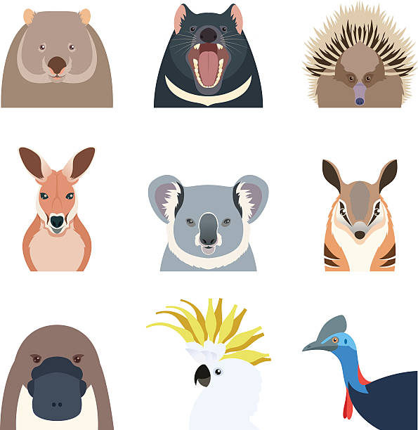 illustrations, cliparts, dessins animés et icônes de animaux australiens icônes plates - echidna