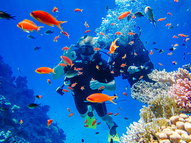 aktywny wypoczynek. nurkowanie na rafach koralowych - underwater diving scuba diving underwater reef zdjęcia i obrazy z banku zdjęć