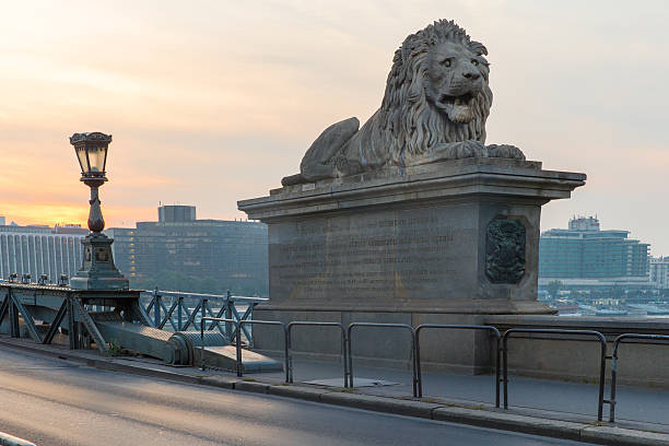 szechenyi bridge in budapest hungary. beautiful danube river. night view. - chain bridge budapest bridge lion imagens e fotografias de stock