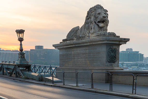 мост шечени в будапеште, венгрия. красивая река дунай. вид на ночь. - chain bridge budapest bridge lion стоковые фото и изображения