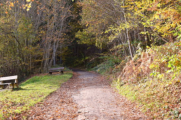 istock Autumn day on mountain in Belgium natural 623179248