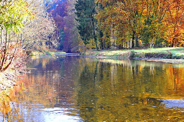 istock Autumn day near river in Belgium natural 623180536