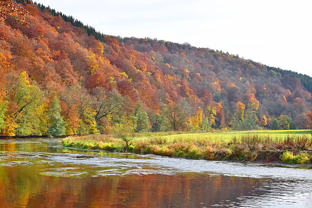 istock Autumn day near river in Belgium natural 623181168