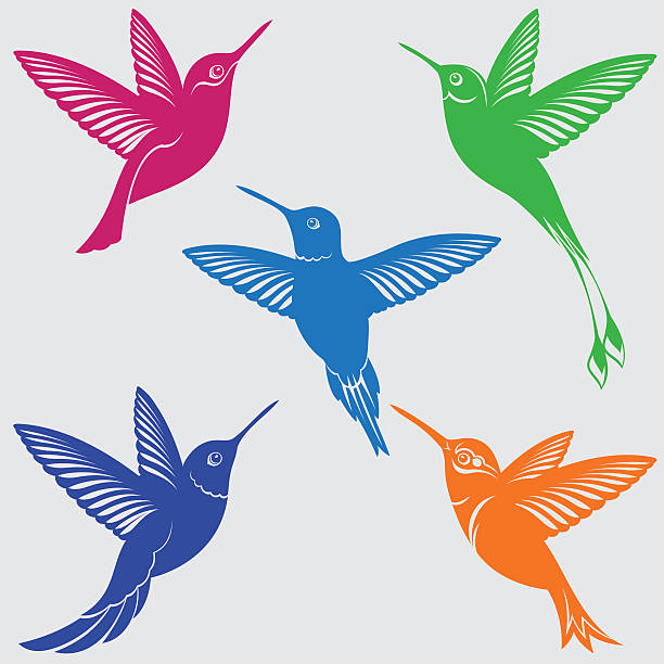 ilustrações de stock, clip art, desenhos animados e ícones de hummingbirds silhouettes set - bird hummingbird flying annas hummingbird