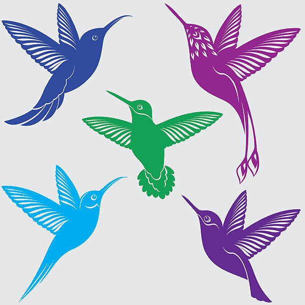 Hummingbirds Silhouettes Set Hummingbirds Silhouettes Set blue chinned sapphire hummingbird stock illustrations