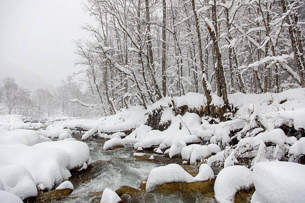 istock Cold winter stream with snow in the mountains 623182658