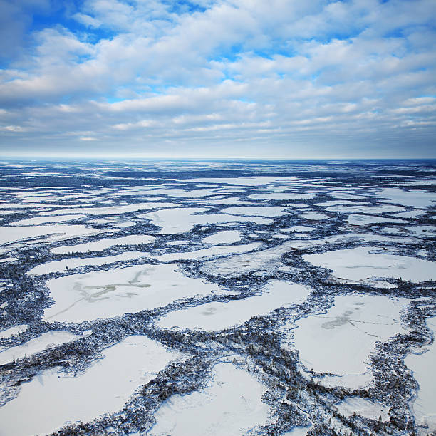 istock Marshes are covered snow, top view 623183454