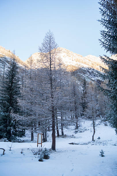istock Mountain landscape with snow and snow-covered trees. 623187184