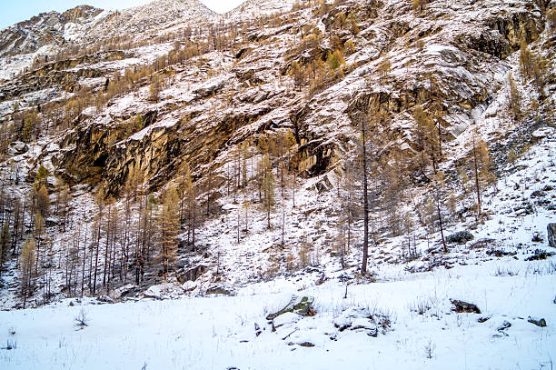 istock Mountain landscape with snow and snow-covered trees. 623188916