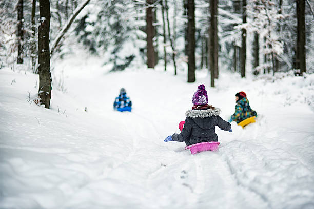 niños trineos en bosque de invierno. - deslizarse en trineo fotografías e imágenes de stock