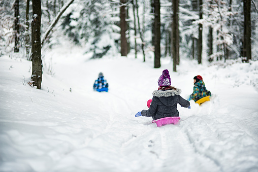 Children sledding in winter forest.