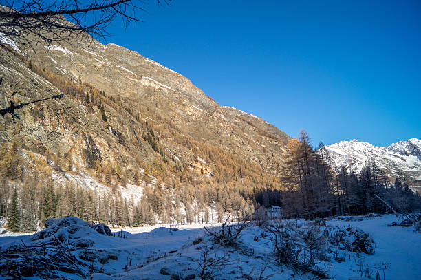 istock Mountain landscape with snow and snow-covered trees. 623194318