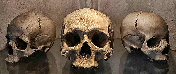 beinhaus - kutna hora skull human bone people stock-fotos und bilder