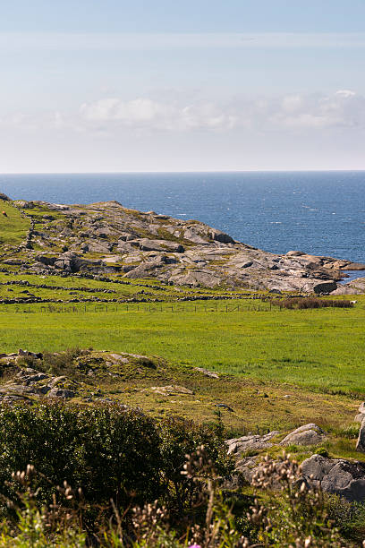 istock overview on the sea Haugesund 623197058