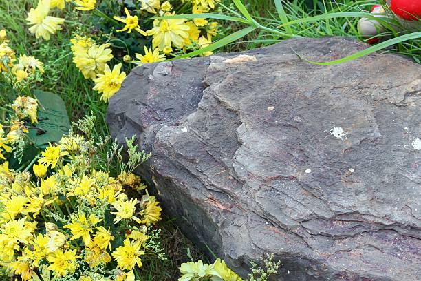 istock Big stone and yellow flowers  Select focus front s 623200562