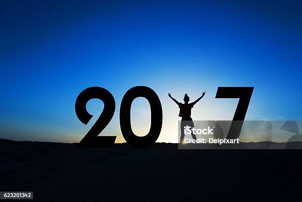 2017 Silhouette Of A Woman Standing In The Sun Stock Photo - Download Image Now - 2017, Adult, Annual Event