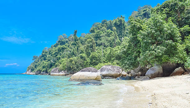 istock Beautiful Tioman island in Malaysia (Pulau Tioman) 623203086
