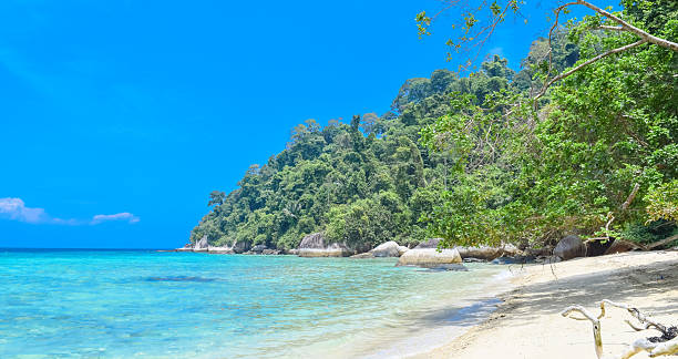 istock Beautiful Tioman island in Malaysia (Pulau Tioman) 623204526
