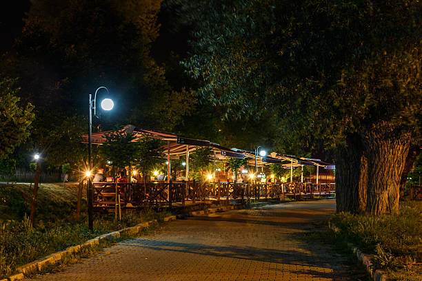 night in quantities - usa restaurant flower bed beauty in nature imagens e fotografias de stock