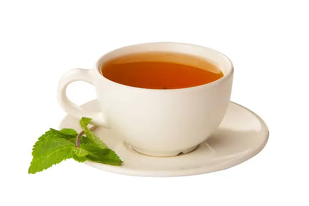 Photo of delicious hot Green tea on white